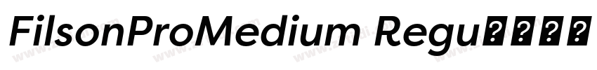 FilsonProMedium Regu字体转换 FilsonProMedium Regu字体转换